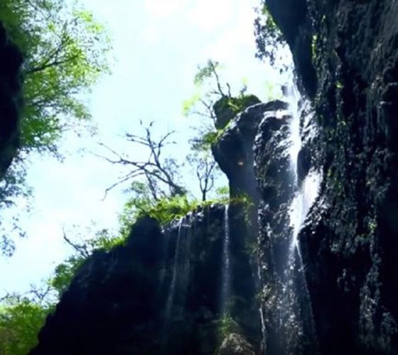 青山綠水，白龍江畔江畔息白鷺，兩岸綠橄欖入眼的都是純樸自然枝上花開(kāi)，春來(lái)水暖魚(yú)蝦戲水，鳥(niǎo)語(yǔ)花香心中充滿(mǎn)著舒暢之感祥宇生態(tài)產(chǎn)業(yè)園，位于隴南市武..